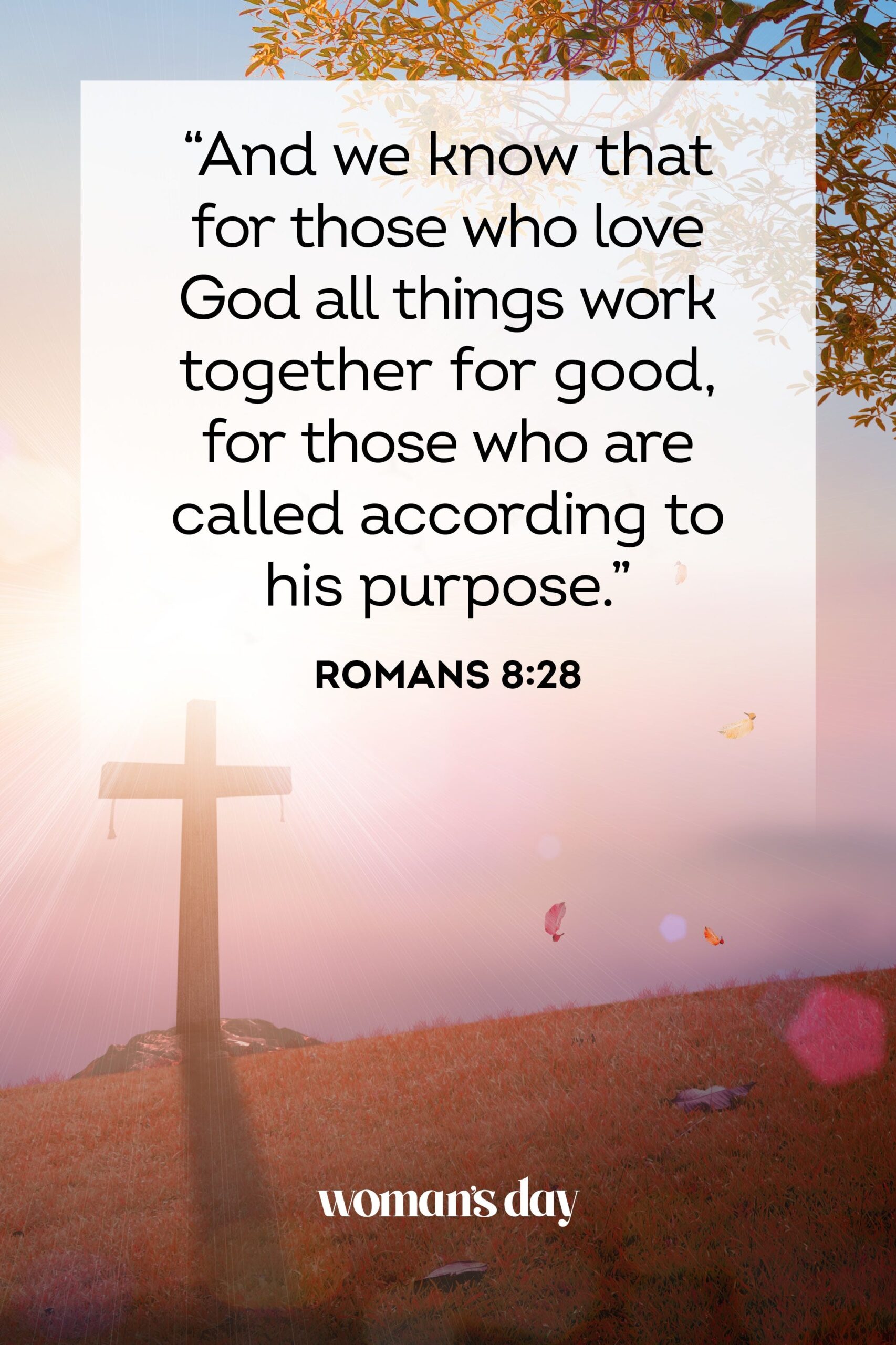 15 Popular Funeral Bible Verses Psalms For Celebration Of Life