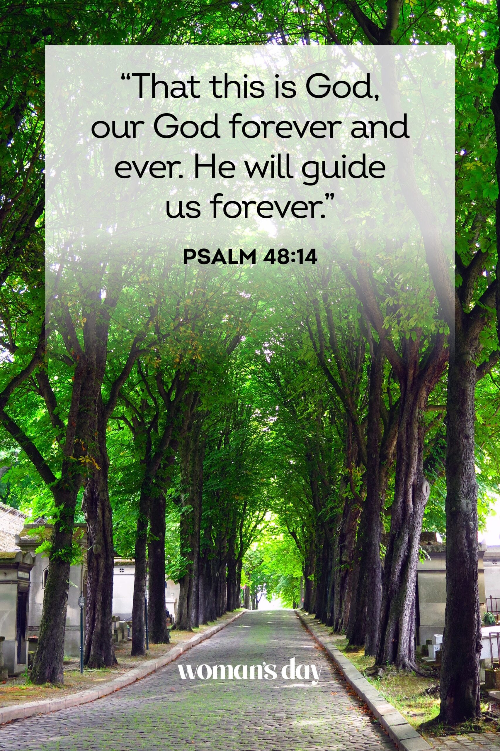 Bible Quotes For Funerals