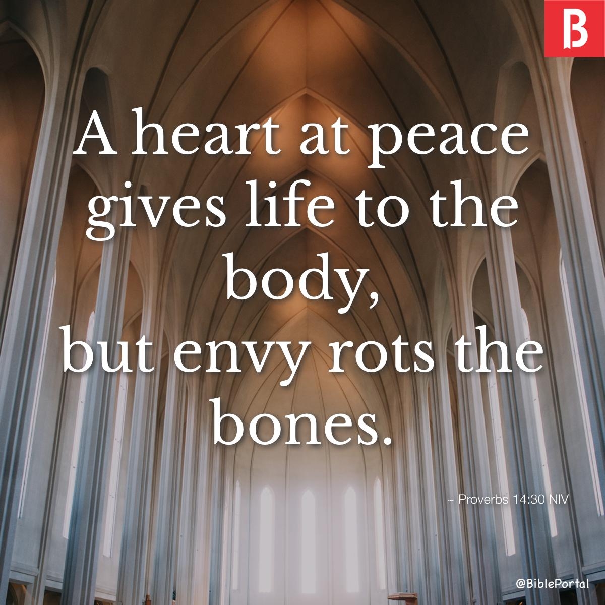 Bible Quotes About Envy