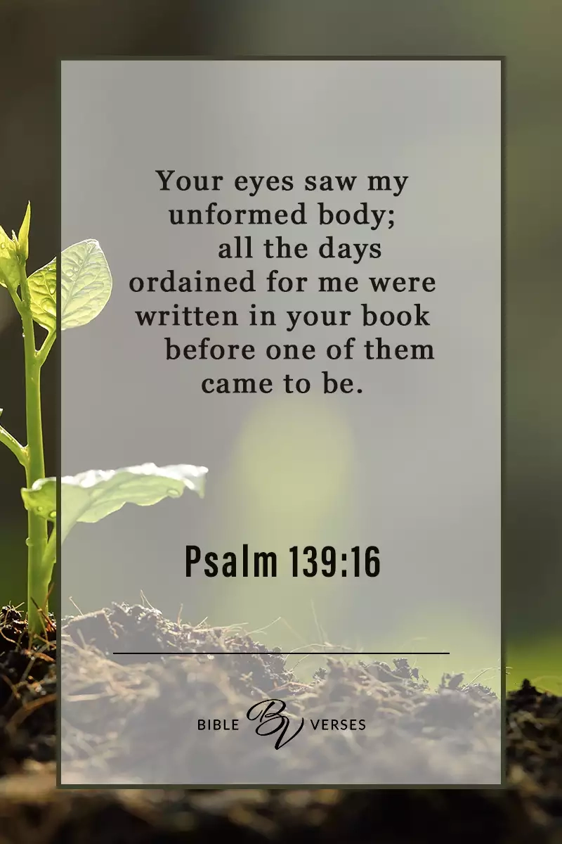 16 Bible Verses About Being Unique Bible Verses