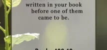 16 Bible Verses About Being Unique Bible Verses