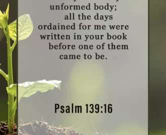 16 Bible Verses About Being Unique Bible Verses
