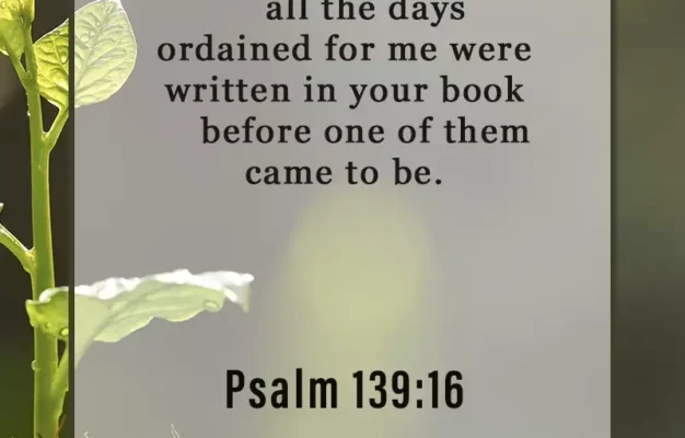 16 Bible Verses About Being Unique Bible Verses