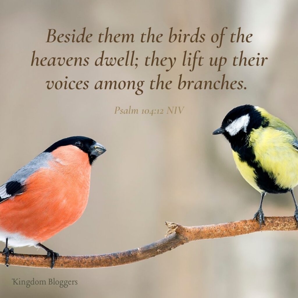 16 Bible Verses About Birds
