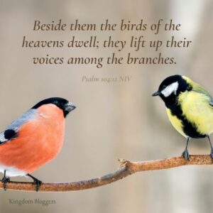 16 Bible Verses About Birds