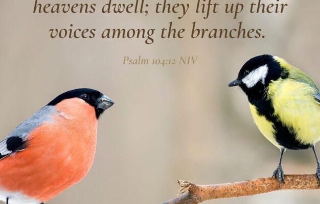 16 Bible Verses About Birds