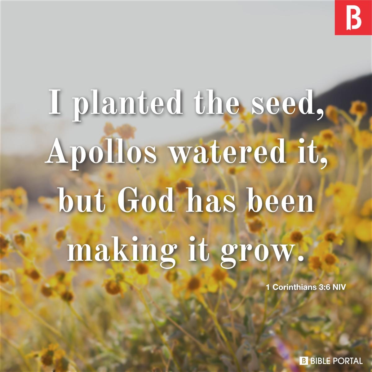 165 Bible Verses About Farming