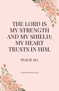 17 Beautiful Bible Verses About Women