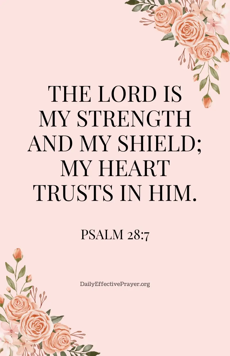17 Beautiful Bible Verses About Women