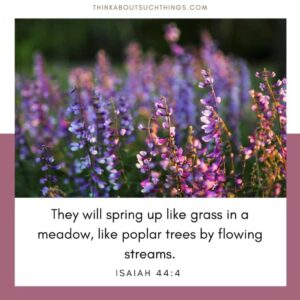 17 Beautiful Spring Bible Verses To Glean From Think About Such Things
