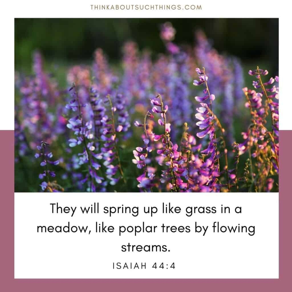 Bible Quotes About Springtime