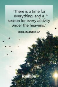 17 Bible Quotes About Life Bible Verses About Life