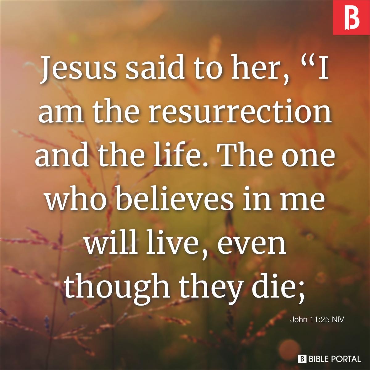 Bible Quotes On Afterlife