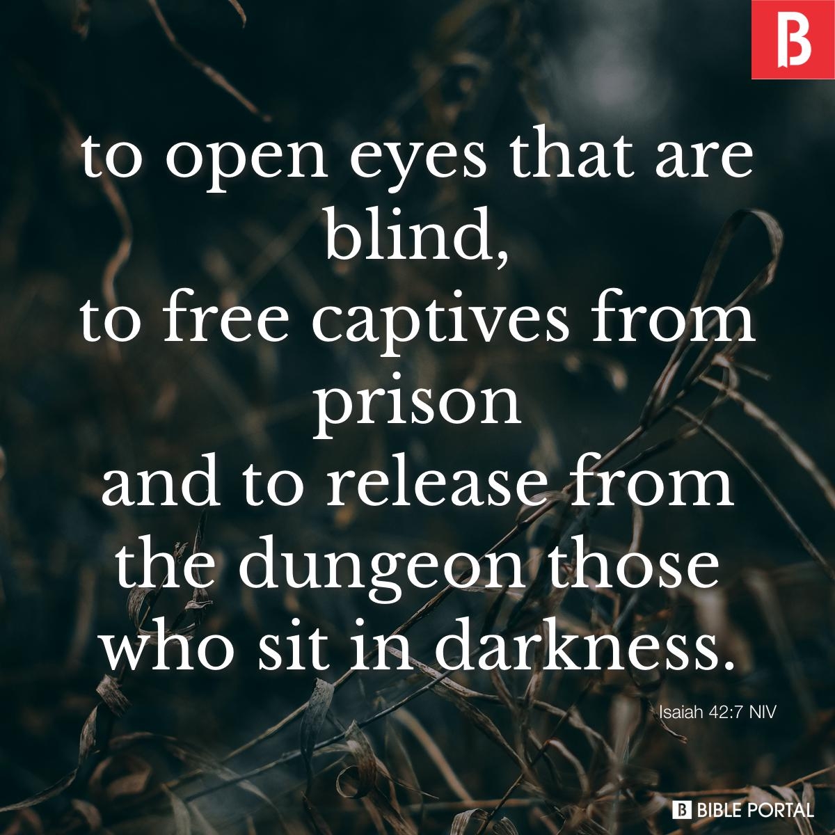 195 Bible Verses About Prisoners