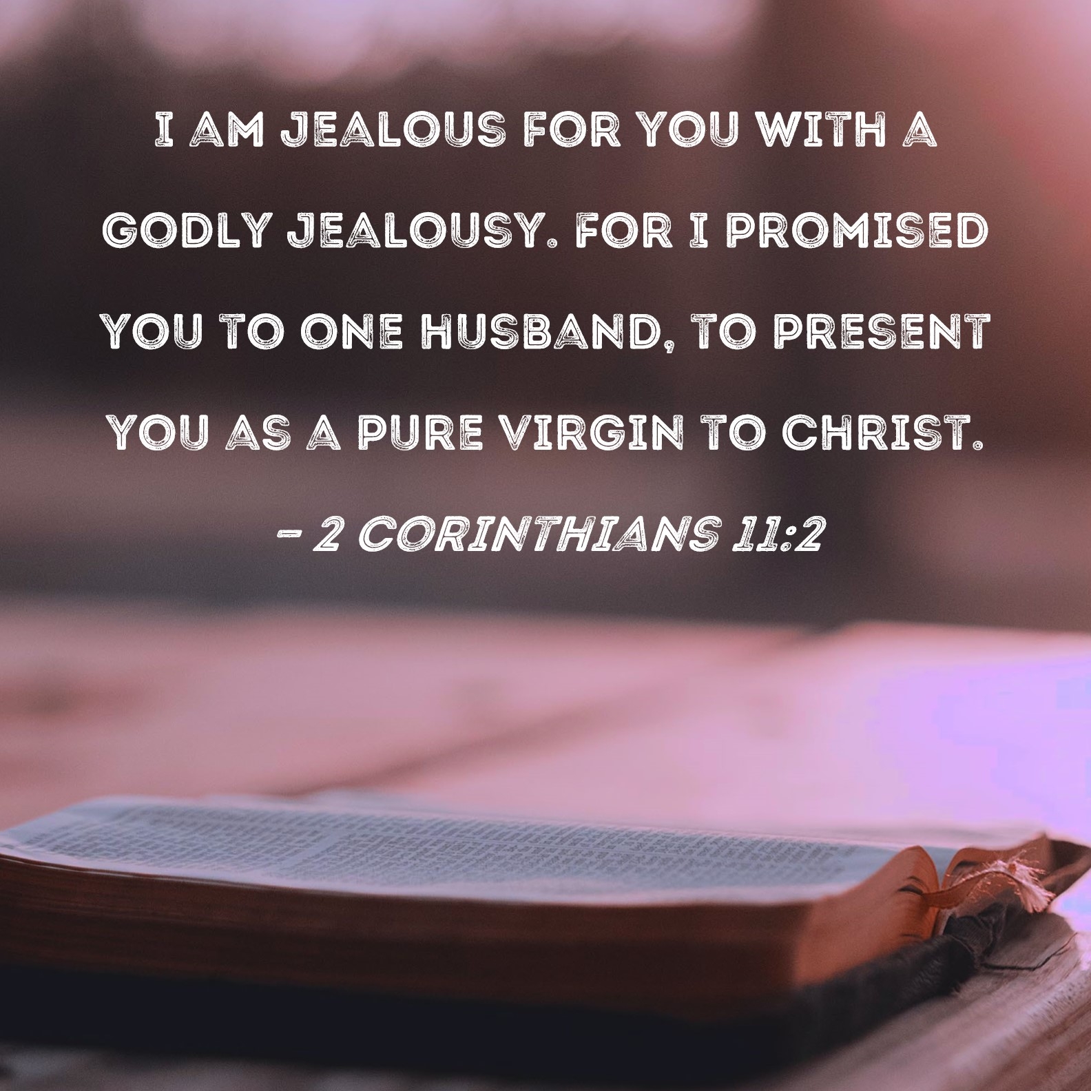 2 Corinthians 11 2 I Am Jealous For You With A Godly Jealousy For I Promised You To One Husband To Present You As A Pure Virgin To Christ 