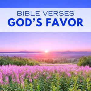 20 Bible Verses About God s Favor