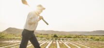 20 Bible Verses About Hard Work
