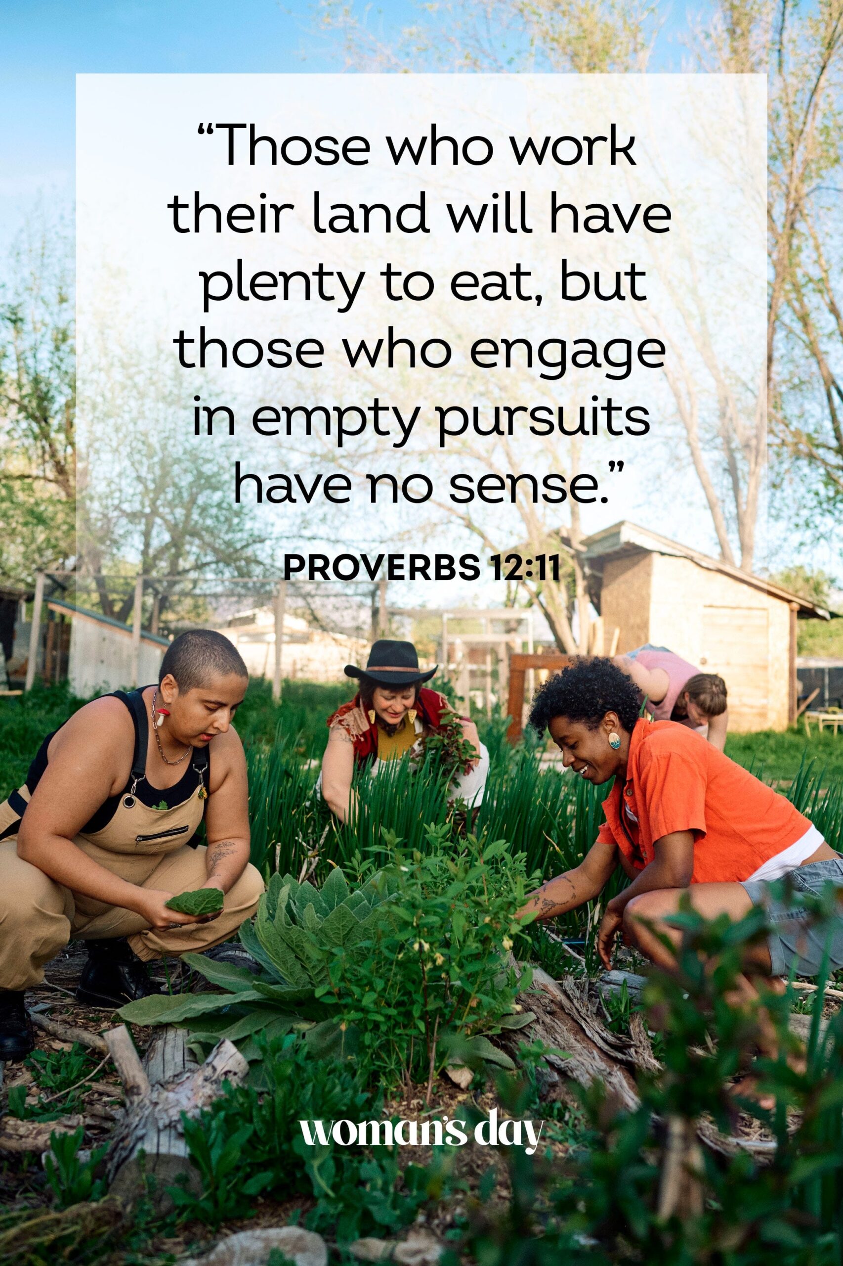 Bible Quotes About Gardening