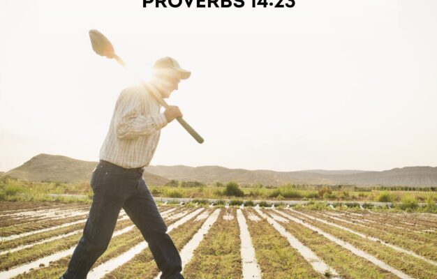 20 Bible Verses About Hard Work