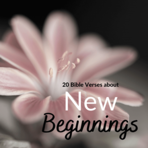 20 Bible Verses About New Beginnings BudgetingFaithfully