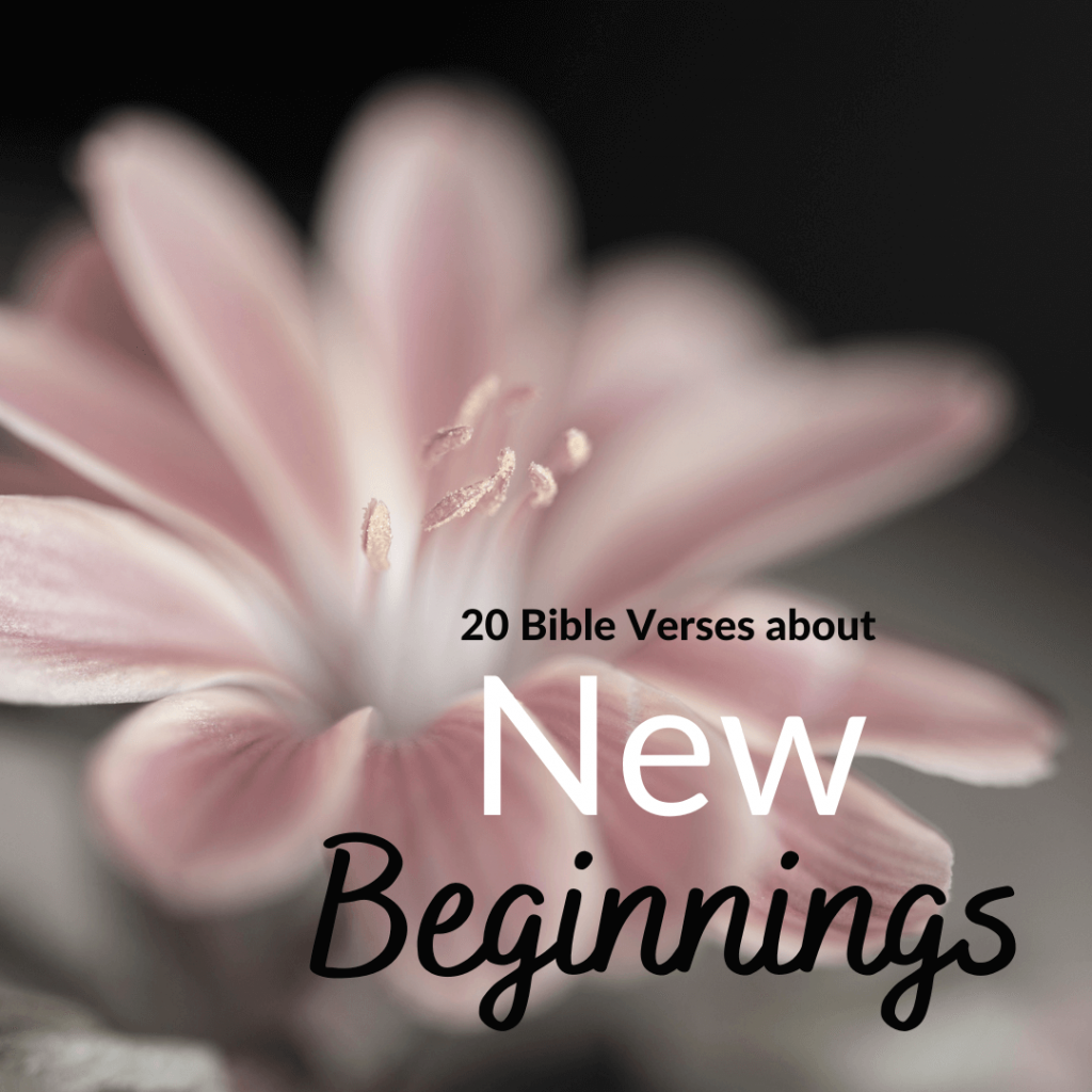 20 Bible Verses About New Beginnings BudgetingFaithfully