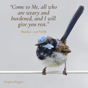 20 Bible Verses About Peace In Hard Times