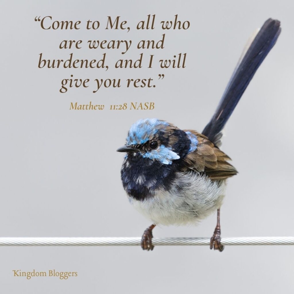 20 Bible Verses About Peace In Hard Times