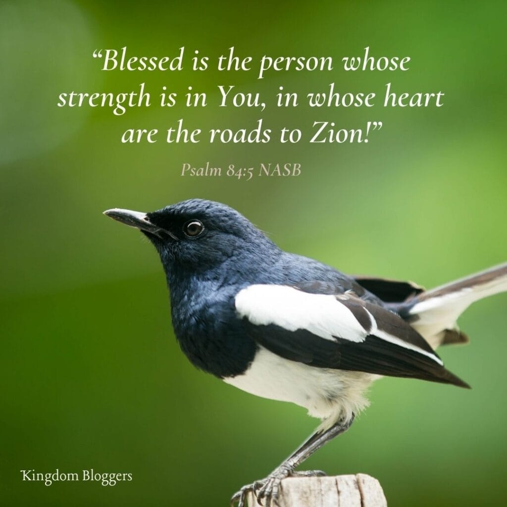 Bible Quotes On Peace