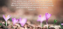 20 Bible Verses About Spring And New Life Guideposts