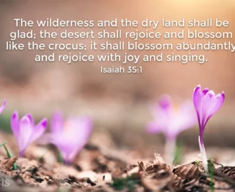20 Bible Verses About Spring And New Life Guideposts