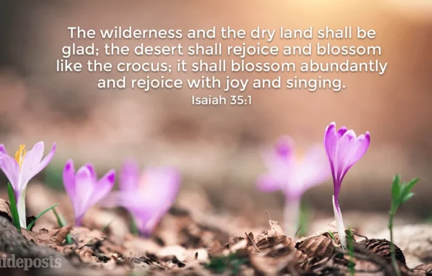 20 Bible Verses About Spring And New Life Guideposts