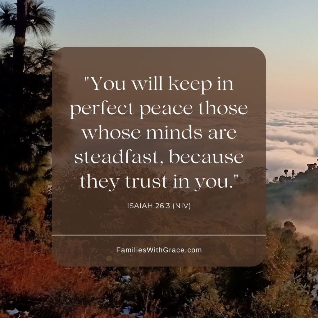 20 Inspirational Quotes From The Bible For Difficult Times Families With Grace