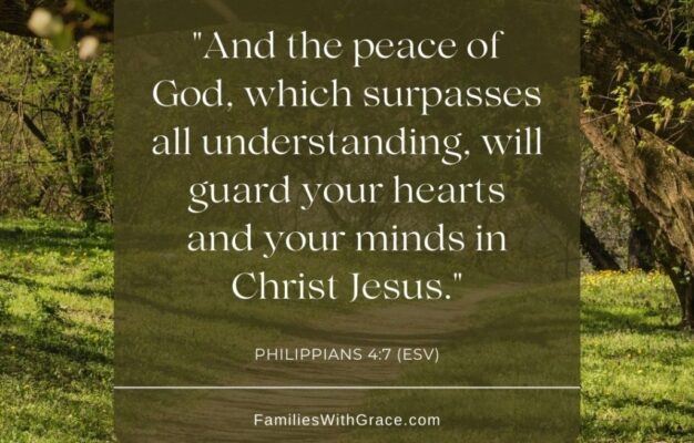 20 Inspirational Quotes From The Bible For Difficult Times Families With Grace