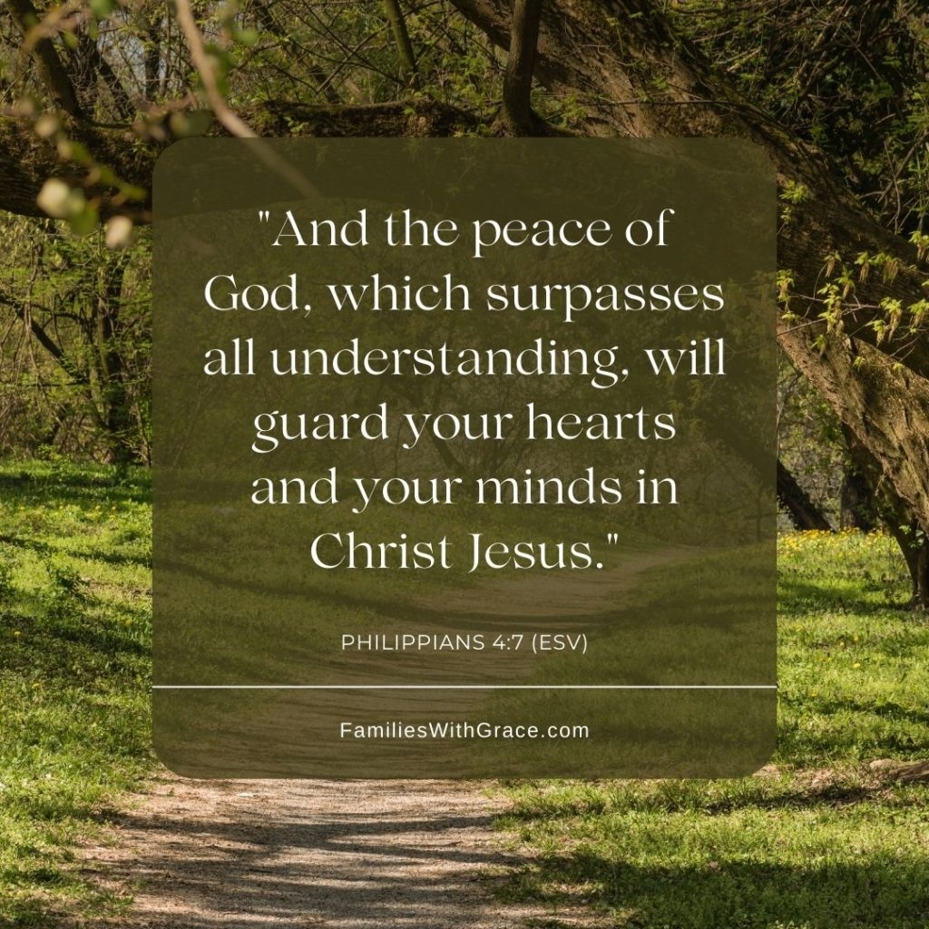 20 Inspirational Quotes From The Bible For Difficult Times Families With Grace