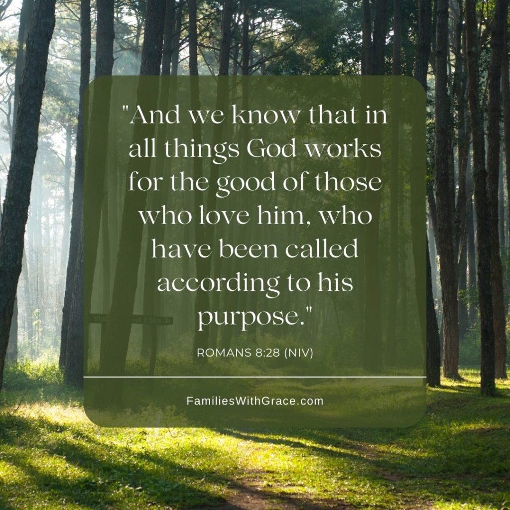 20 Inspirational Quotes From The Bible For Difficult Times Families With Grace