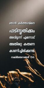 21 Bible Quotes Malayalam Ideas Bible Quotes Malayalam Bible Quotes Bible