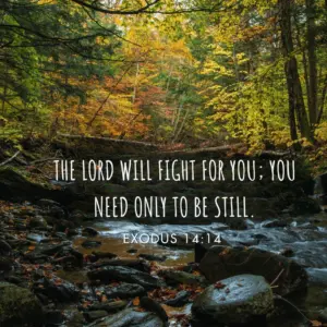 21 Bible Verses About Waiting On The Lord Christ Follower Life