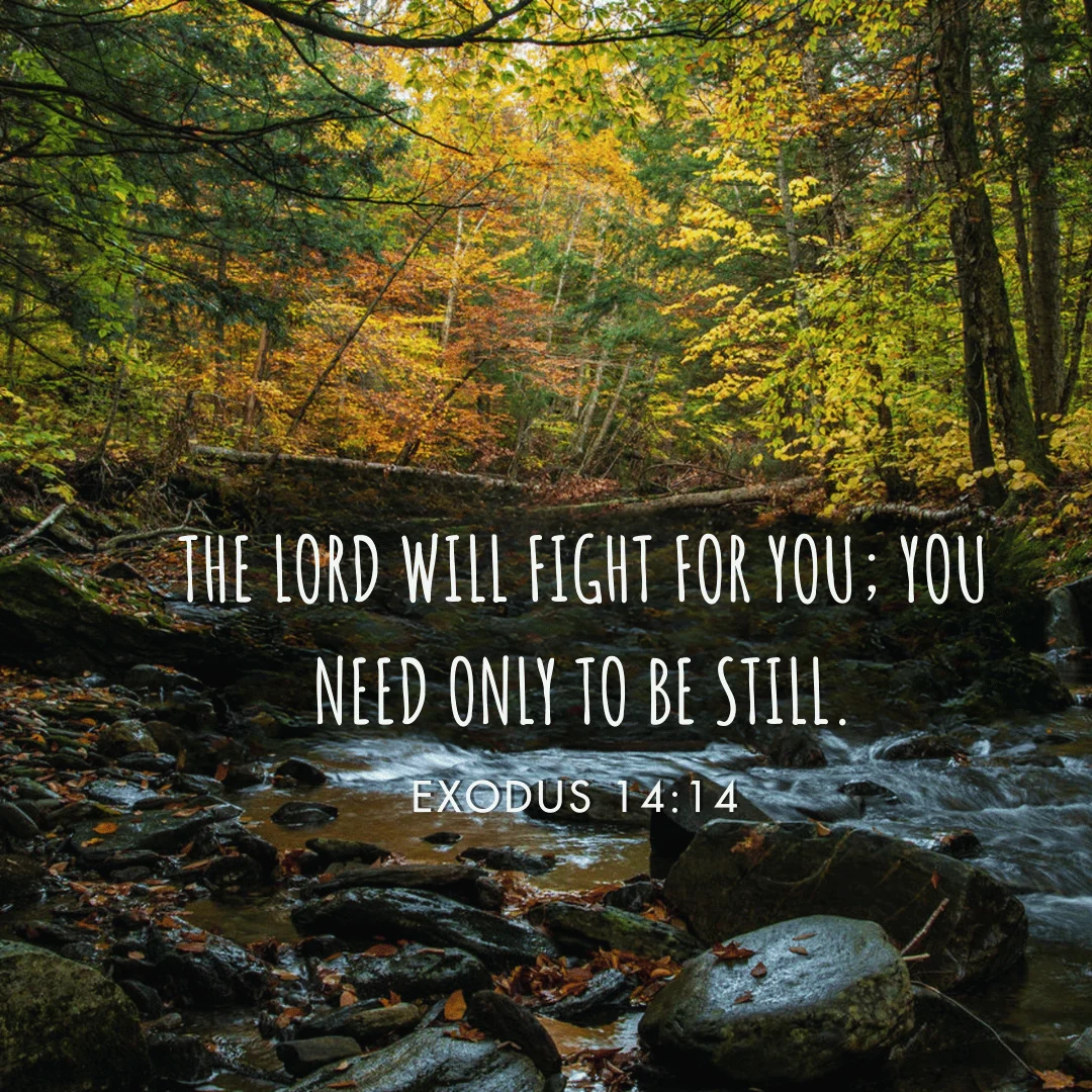 Waiting Bible Quotes