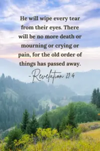 21 Comforting Bible Verses For Grief And Loss Chasing Vibrance