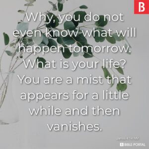 219 Bible Verses About Time