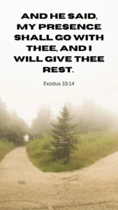 22 Bible Verses About Rest When You Feel Overwhelmed Pray With Confidence