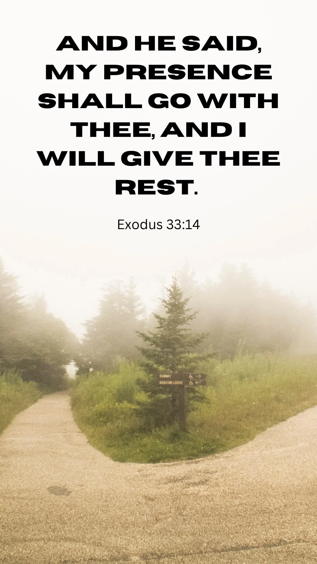 22 Bible Verses About Rest When You Feel Overwhelmed Pray With Confidence