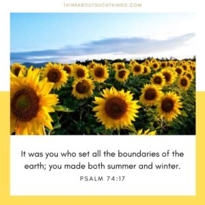 22 Neat Summer Bible Verses You Will Love Think About Such Things