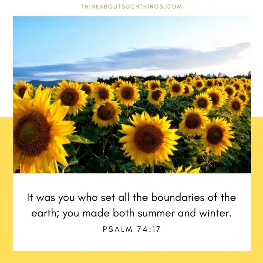 22 Neat Summer Bible Verses You Will Love Think About Such Things