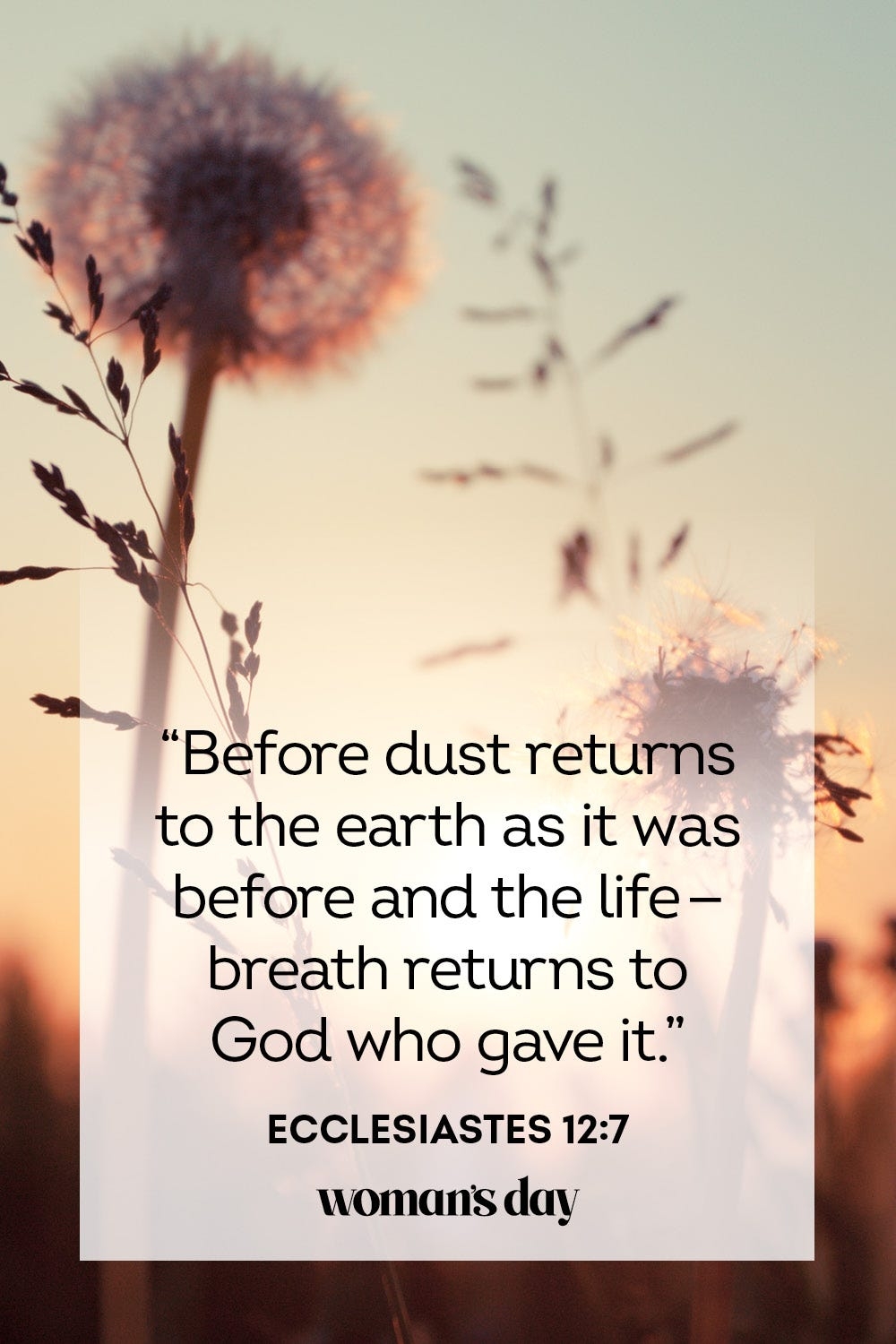 23 Bible Verses About Death Comforting Scripture For Grieving