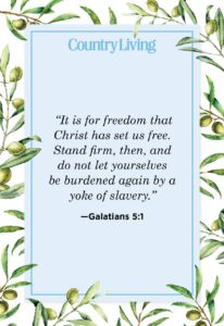 23 Bible Verses About Freedom What Scripture Says About Freedom