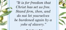 23 Bible Verses About Freedom What Scripture Says About Freedom