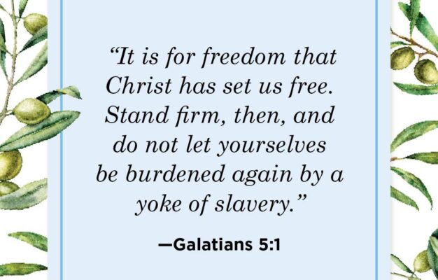 23 Bible Verses About Freedom What Scripture Says About Freedom
