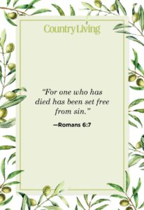 23 Bible Verses About Freedom What Scripture Says About Freedom