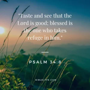 23 Bible Verses About Goodness Bible Lyfe